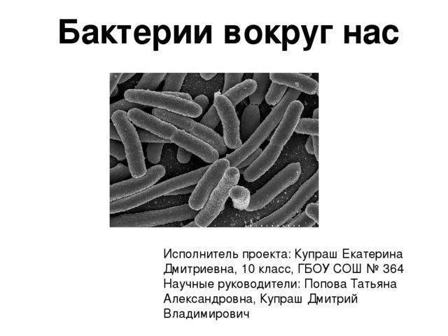 Человек и бактерии / интересное / статьи / еще / обо всем