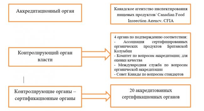 Кулинарная глобализация | социальная сеть работников образования