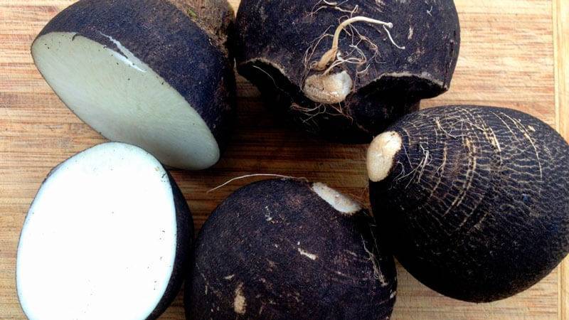 Признаки гайморита у взрослых как лечить дома