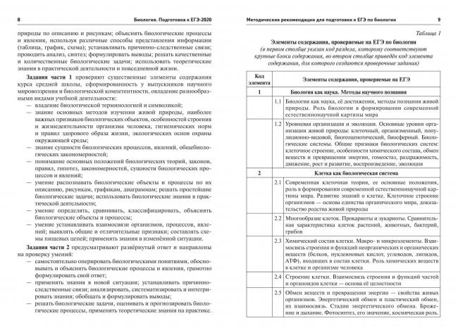 Ворсинки (фимбрии, пили) бактерий