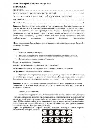 Бактерии