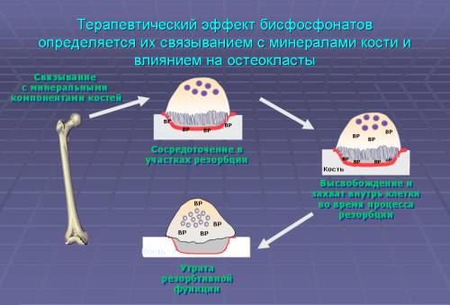 Бонефос