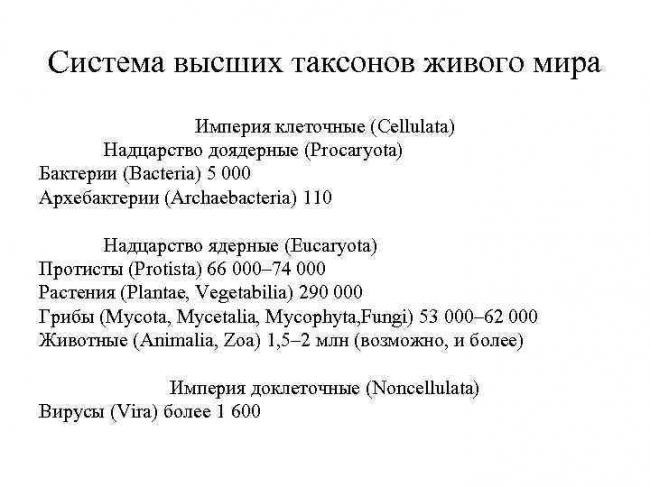 Бактерии: питание, дыхание, ферменты и пигменты. фото