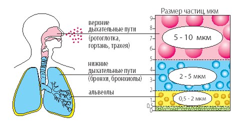 Рецепты ингаляций небулайзером при насморке, с чем можно делать в домашних условиях