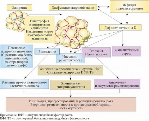 Урсоловая кислота
