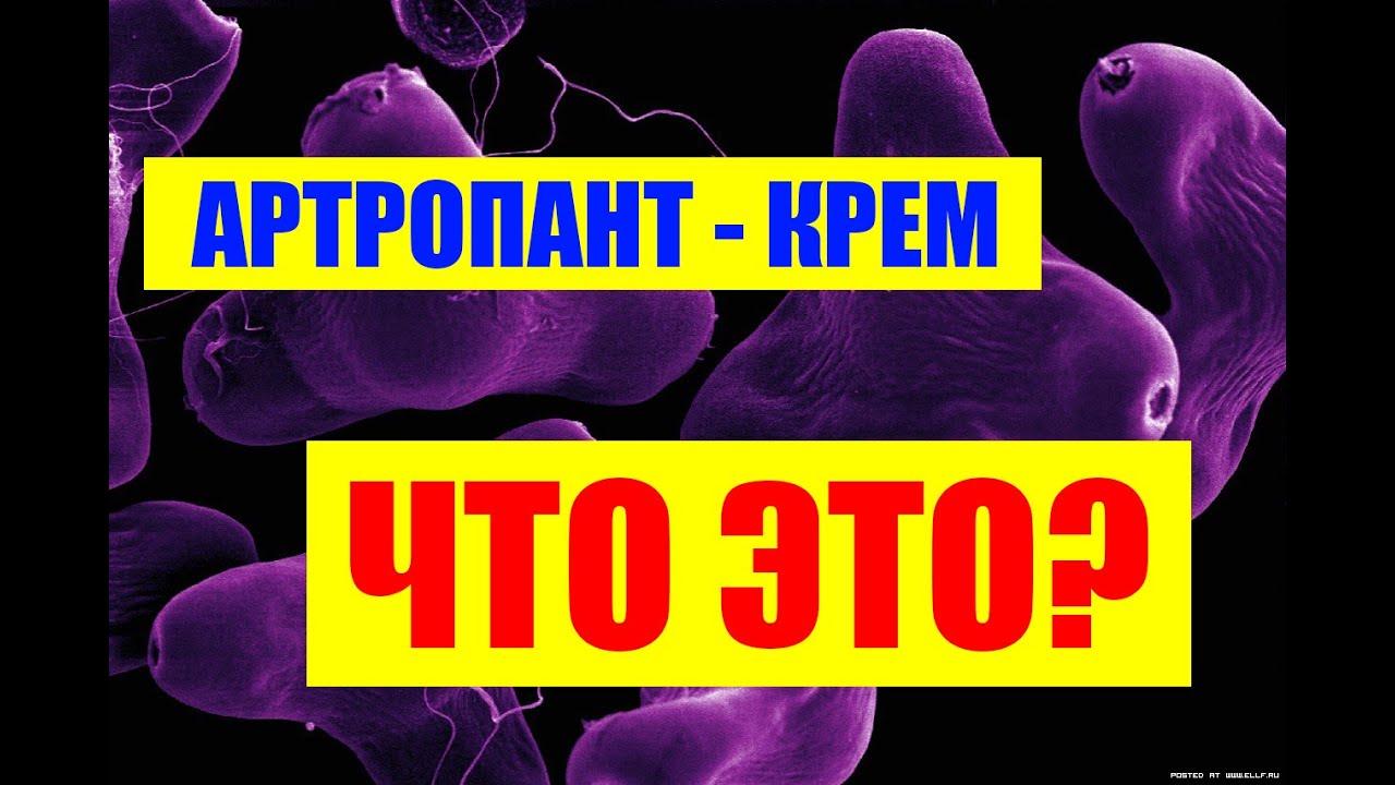 Крем артропант для суставов: преимущества, состав, отзывы, цена, показания