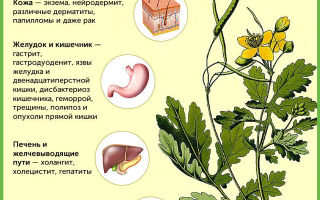 Сабельник эвалар — инструкция по применению таблеток, оценка эффективности